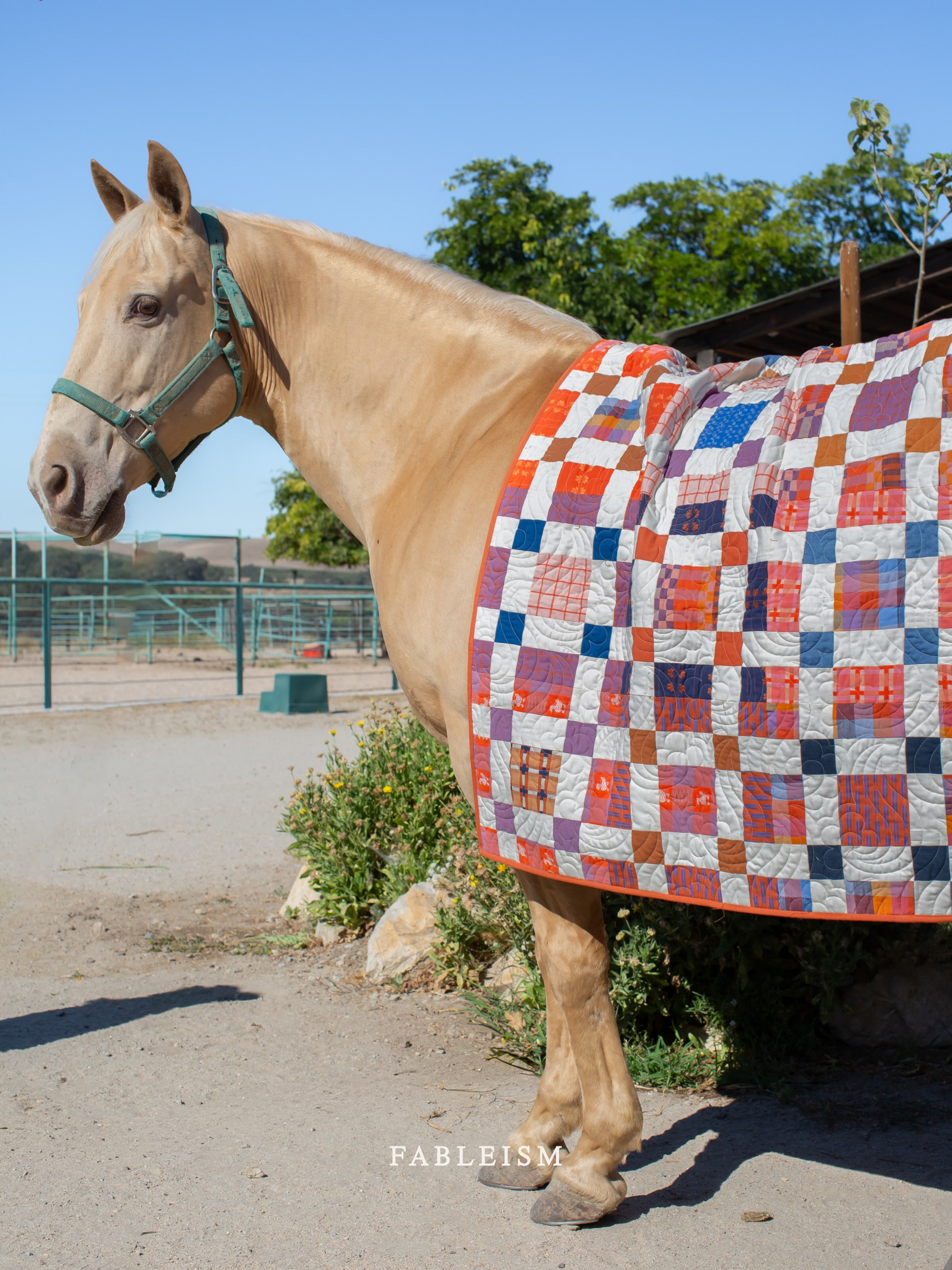 Our kind of horse blanket. 🧡
-
Fine & Dandy arriving to shops soon!
-
Quilt Pattern: Andy by @penelopehandmade 
Piecing Artiste: @quilts_of_summer