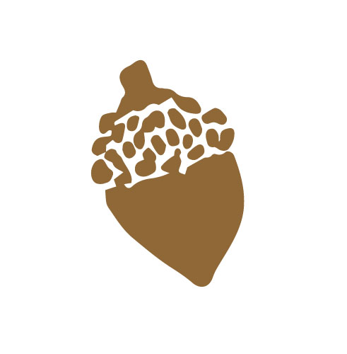 acorn-avatar-logo